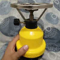 پیکنیگ