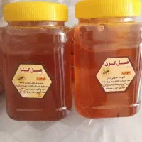 عسل مرغوب با قیمت مناسب، از کندو دار بی واسطه