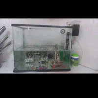 اکواریوم