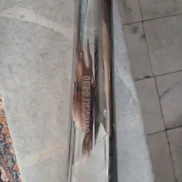 اگزوز