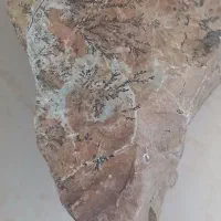 سنگ تزئینی و اکواریومی