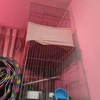 قفس پرنده بزرگ