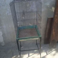 قفس کاسکو