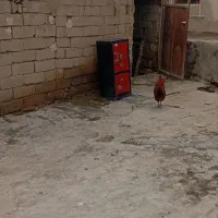خانه