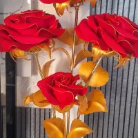 زیبای پر مشتری مورد پسند همه