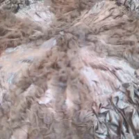 روتختی ساتن نو