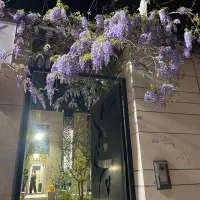 همکاری با دندانپرشک
