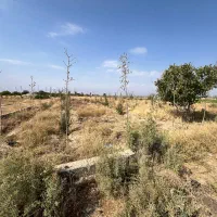اگر یک میلیارد سرمایه داری این زمین برای توست