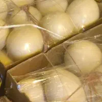 تخم شتر مرغ