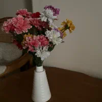 گلهای خارجی درحدنو