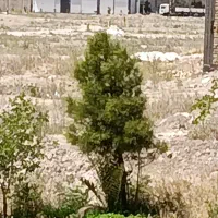 فروش-زمین-بر-کمربندی