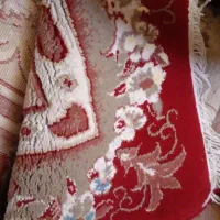 قالی ۱۲ متری سلیمان