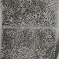 پادری پشمی شگی نونونو