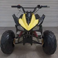 چهار چرخ 125cc چهارچرخ دنده عقب دار