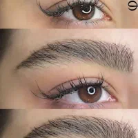 مدل میکرو بلید