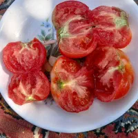 گوجه|خوردنی و آشامیدنی|سلماس, |دیوار