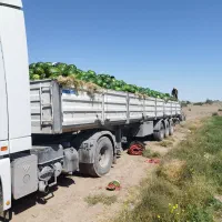 نیازمند راننده تک باری