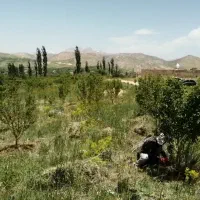 فروش باغ ۸۰۰ متری با امکانات کامل در کاکان