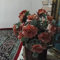 گل کیفت خوب خارجی