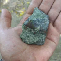 سنگ شجر