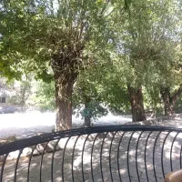 نیروی خدماتی