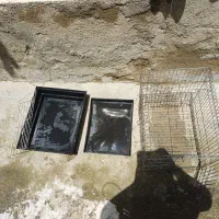 قفسه بزرگ حیوانات