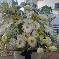 باکس گل
