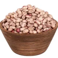 لوبیا چیتی اورگانیک