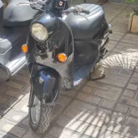 پاکشتی وینو فابریک