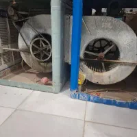 کلر