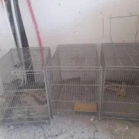 قفس پرنده