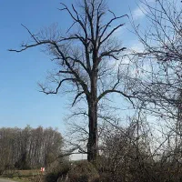 ۴۰۰ متر زمین در روستای بکر گیلان
