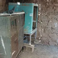 ساعت نونو                                   پلاکی