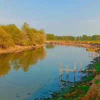 قایق سواری در تالاب انزلی