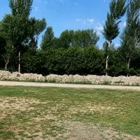 باغ ۳۰ در ۷۰متر ... چهر- بیستون