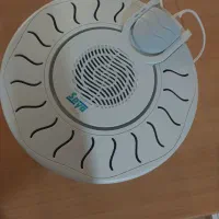 میوه خشک سایا