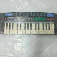 ارگ کاسیوفوما