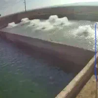 نگهبانی سر استخر پرورش ماهی