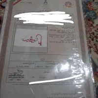 فروش برند شیرالات