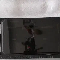 کیف مدارک گم شده به اسم (علیخانی)