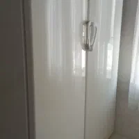 دوقلوی پارس