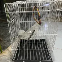 قفس پرنده