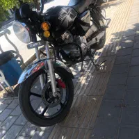 باکسر تیزپرتوس
