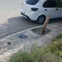 همسفر به شمال