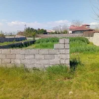 زمین مسکونی ۳۵۰ متری ابکنار