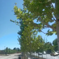 سیم کارت اعتباری