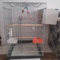 قفس پرنده۱۰۳۳