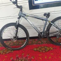 دوچرخه کافیدیس