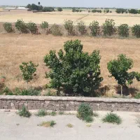 کارگر مرغداری تخمگزار