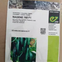 بذر خیار ناگین f1